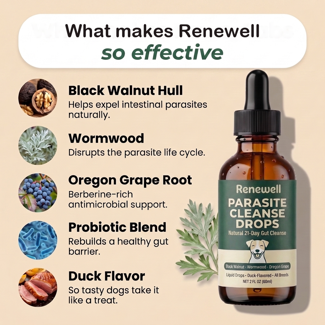 Renewell™ - Parasite Cleanse Drops