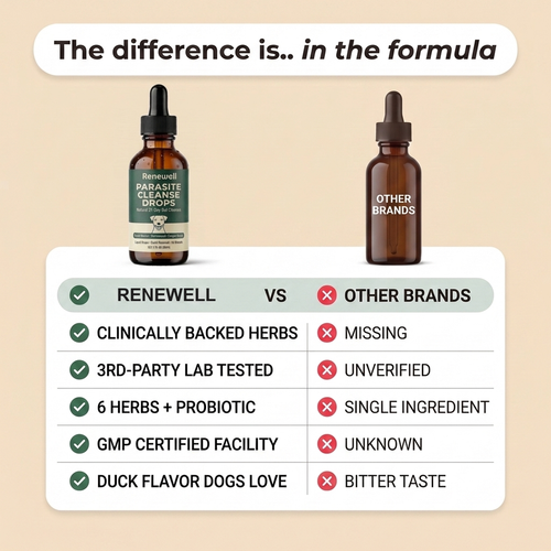 Renewell™ - Parasite Cleanse Drops