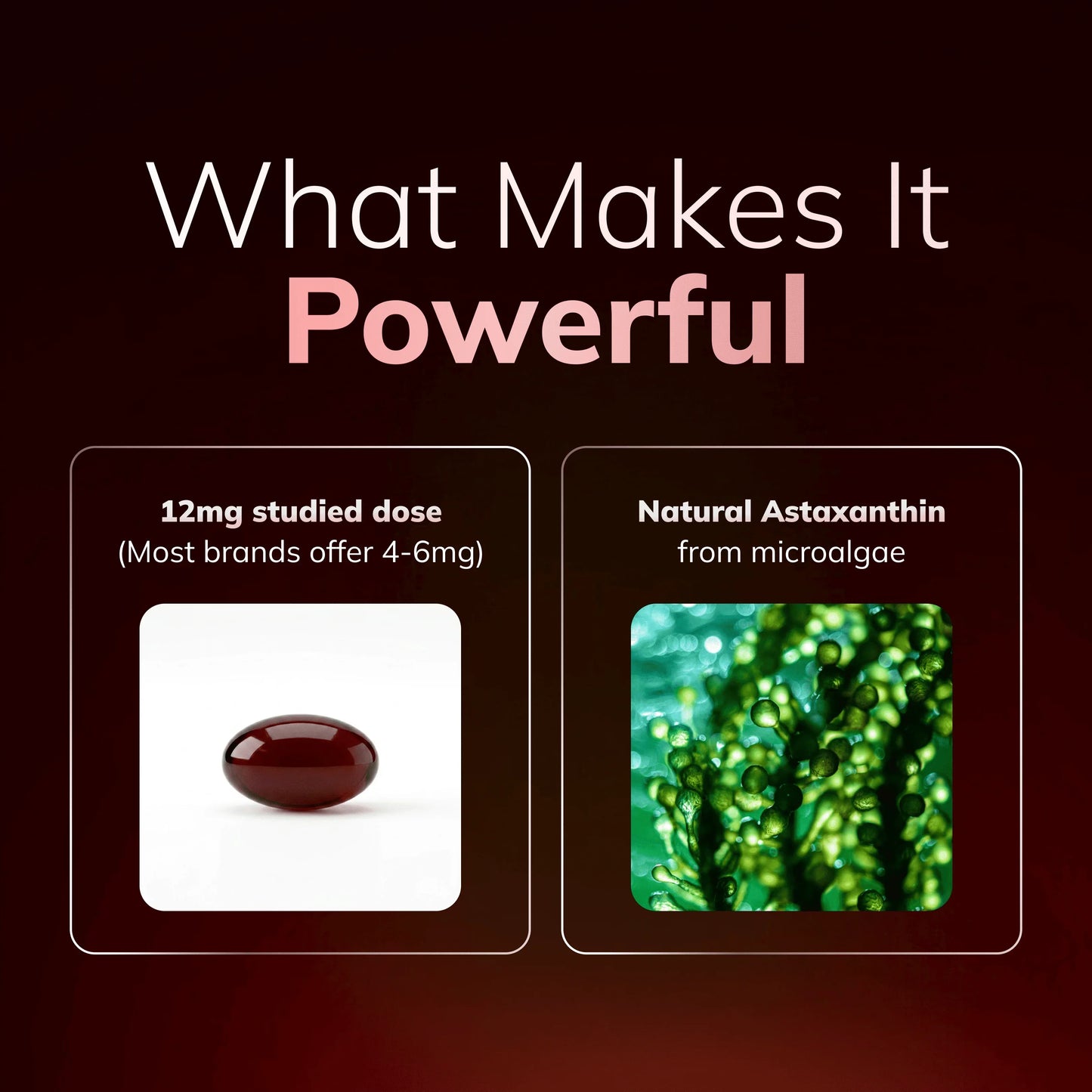 Rovina Astaxanthin - 12mg Softgels