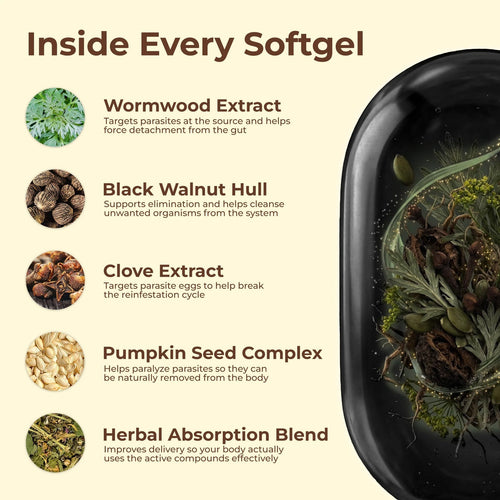 Renewell Wormwood Parasite Cleanse
